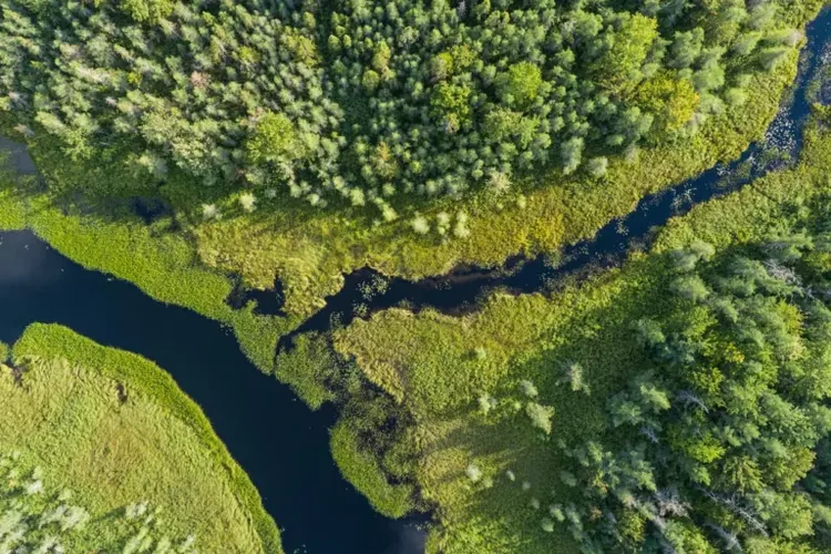 how to create an effective waste management program blog trees and stream photo cority
