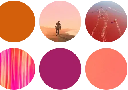 Six circular images in two rows: orange solid color, a person walking on a beach, kayakers on pink water, pink and orange vertical streaks, solid magenta, and solid coral pink—reflecting Cority’s commitment to sustainability.