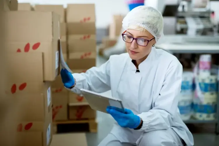 What to include in your QMS Implementation Plan