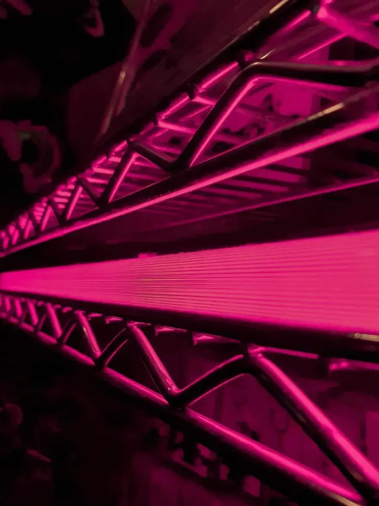sustainability in supply chain blog metal structure pink cority